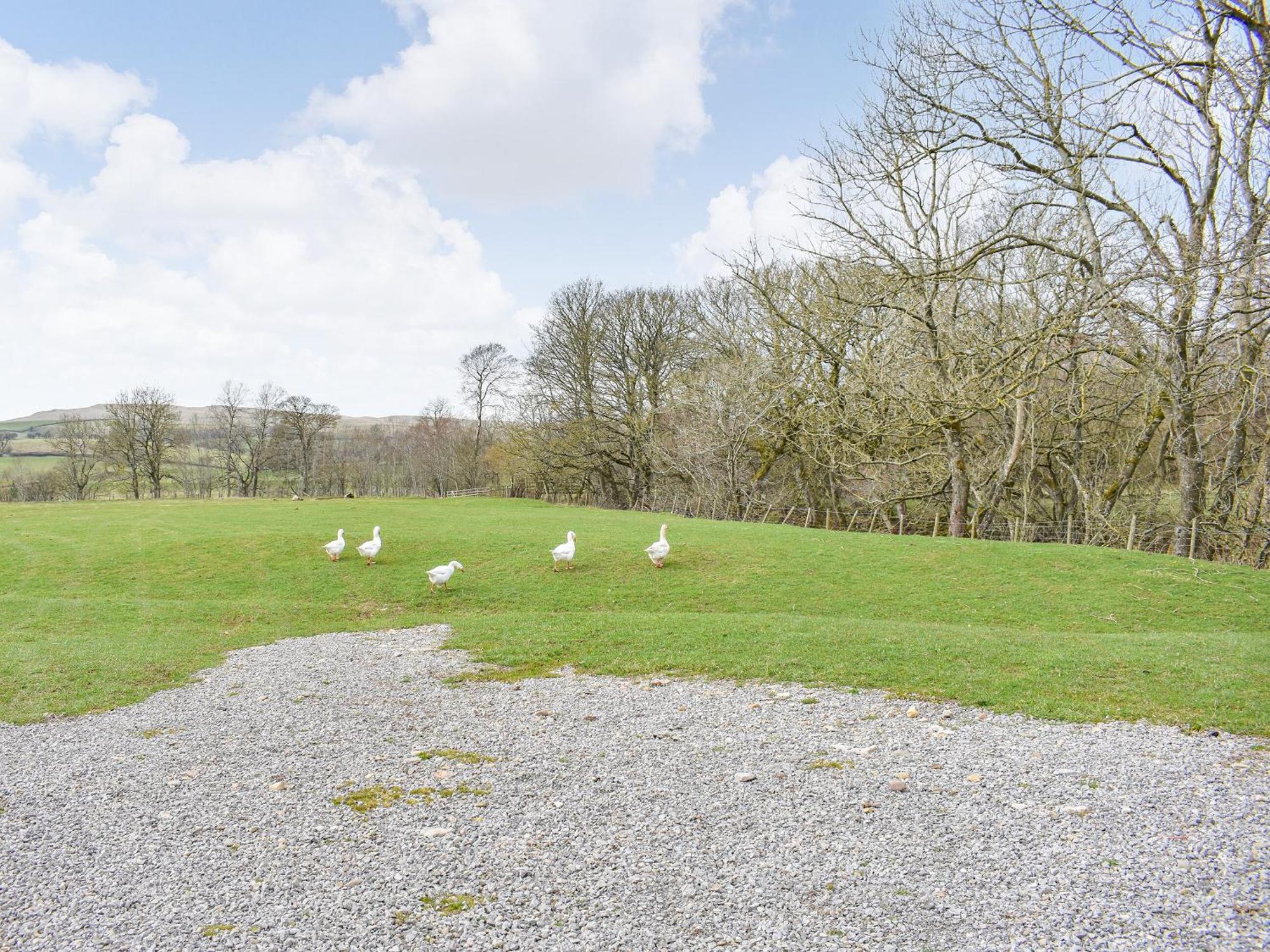 The Ash Uk38291 Villa Crosby Garrett ภายนอก รูปภาพ